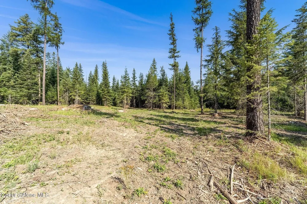 Lot11 Blk1 Leonard Loop Athol, ID 83801