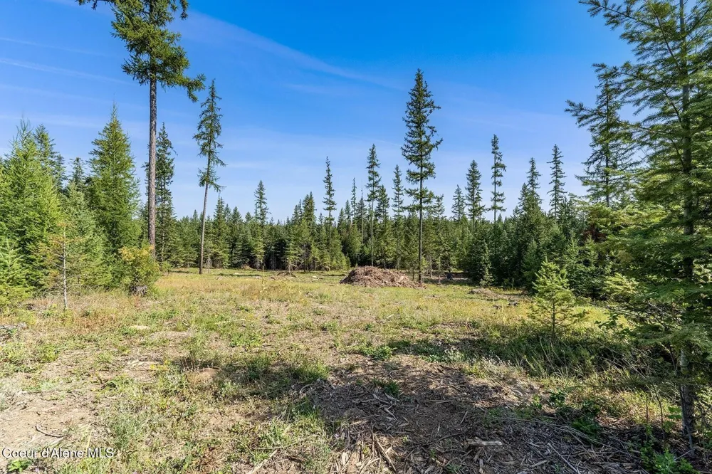 Lot11 Blk1 Leonard Loop Athol, ID 83801