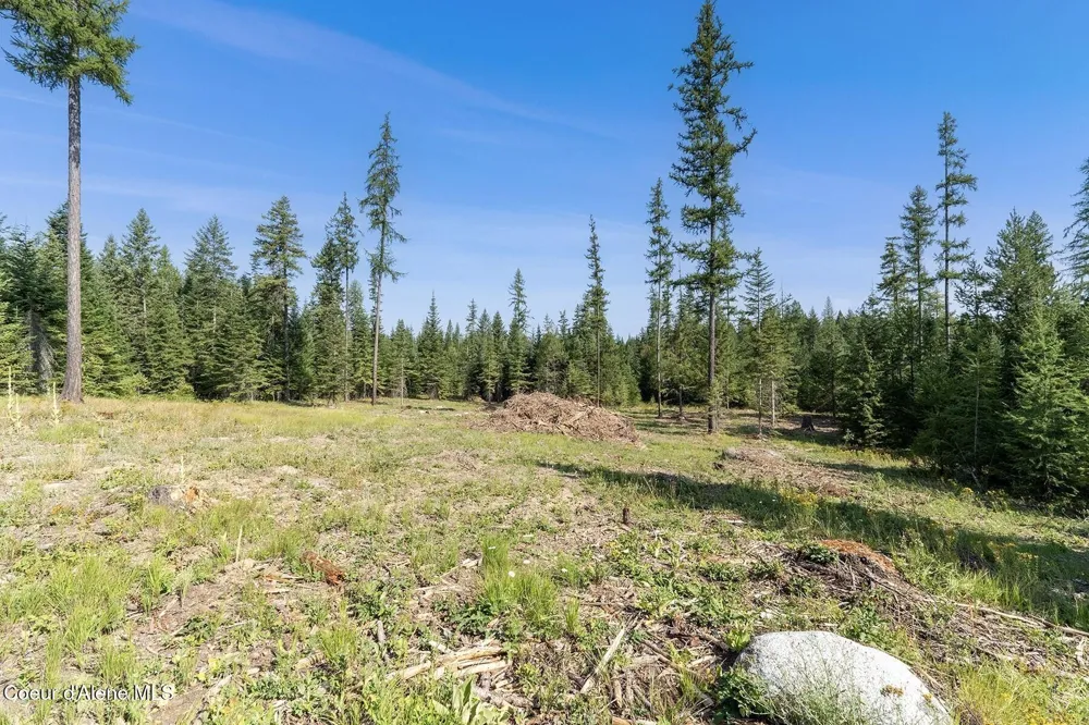 Lot11 Blk1 Leonard Loop Athol, ID 83801
