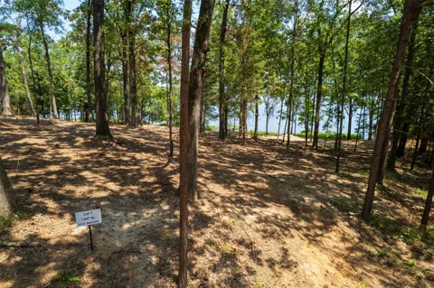 Pr Rd52447