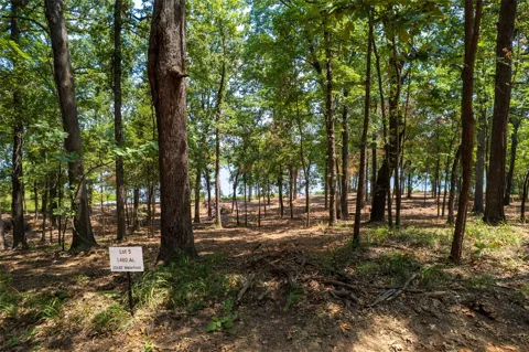Private Road 52447
