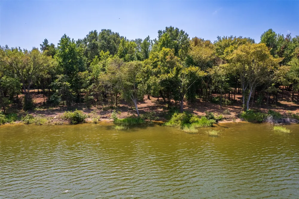 PR-52447 Leesburg, TX 75451