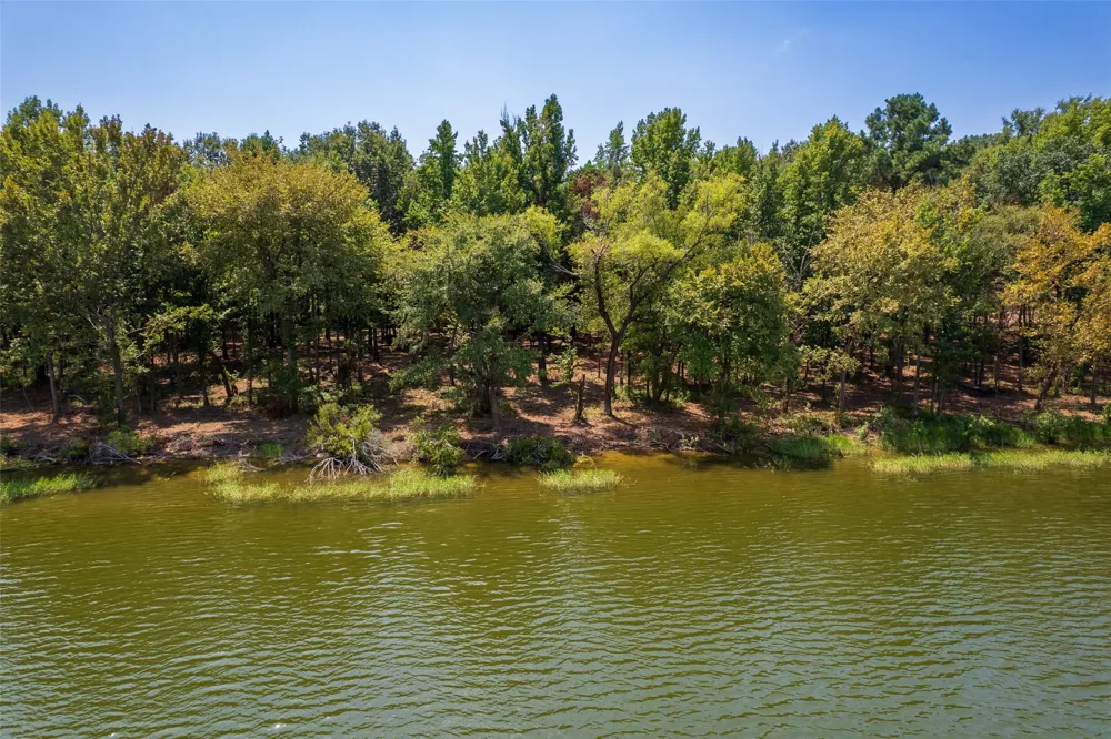 PR-52447 Leesburg, TX 75451