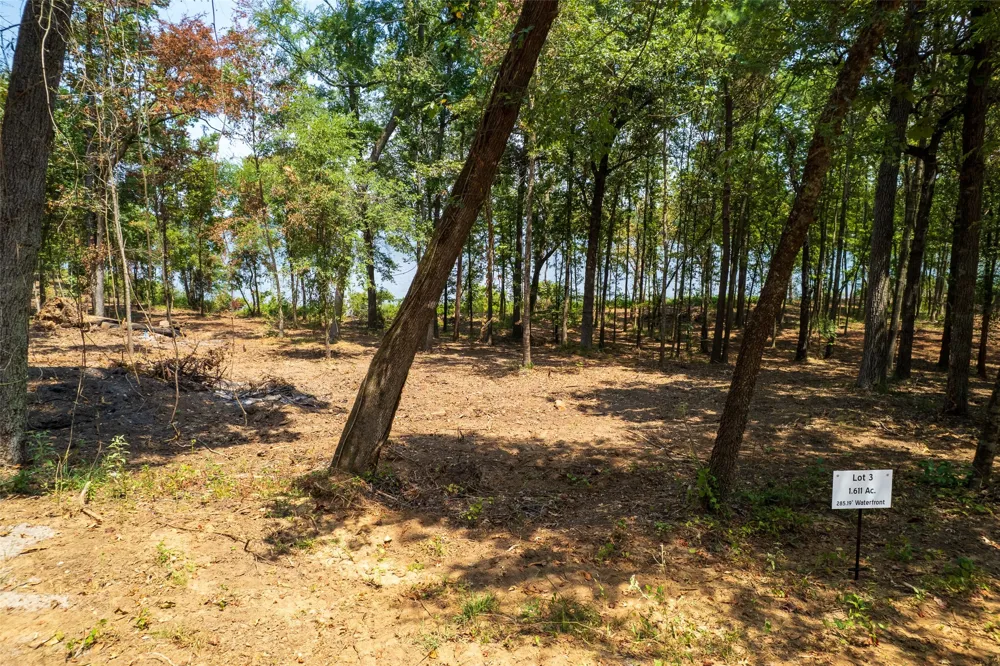 PR52447 Leesburg, TX 75451