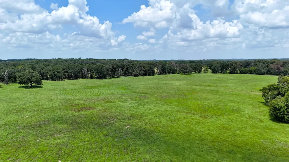CR 4613 Athens, TX 75751