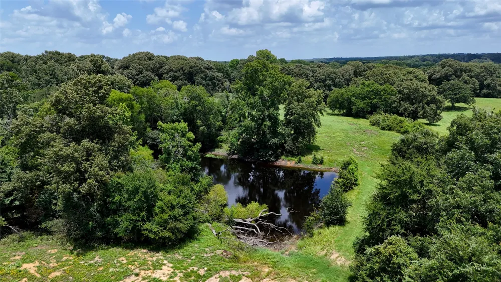 CR 4613 Athens, TX 75751