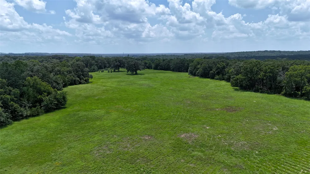 CR 4613 Athens, TX 75751