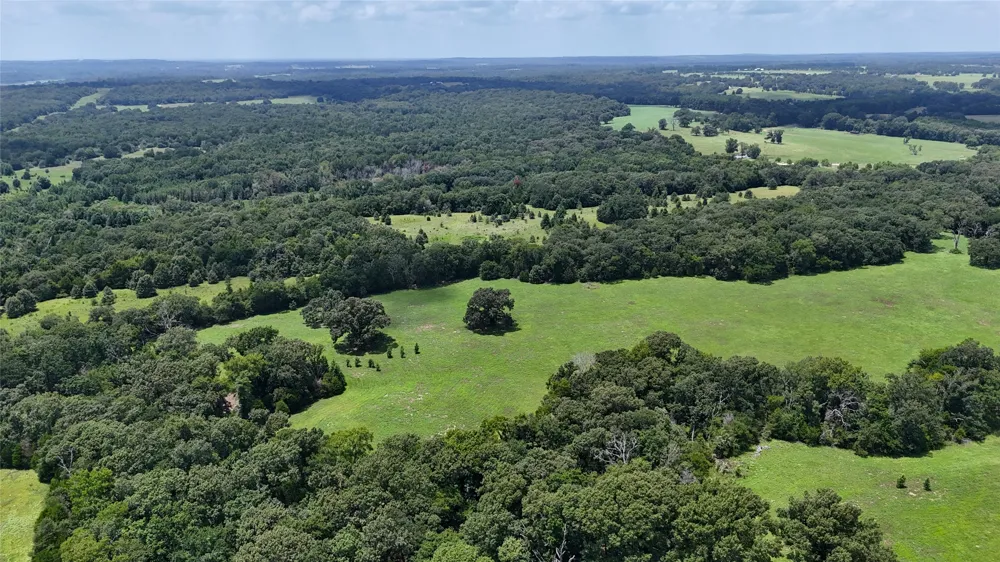 CR 4613 Athens, TX 75751