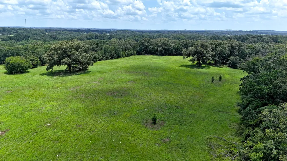 CR 4613 Athens, TX 75751