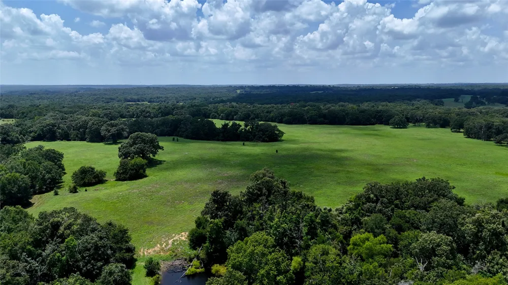 CR 4613 Athens, TX 75751