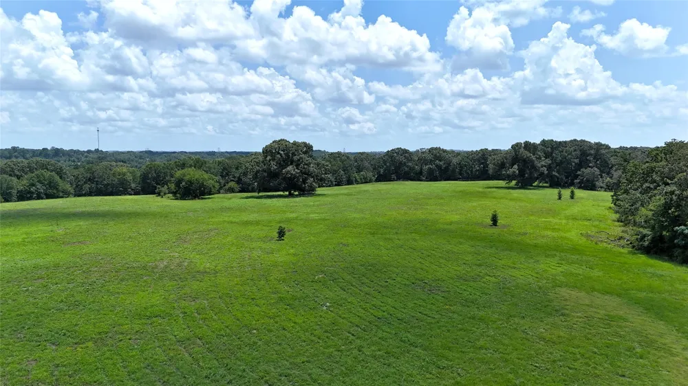 CR 4613 Athens, TX 75751