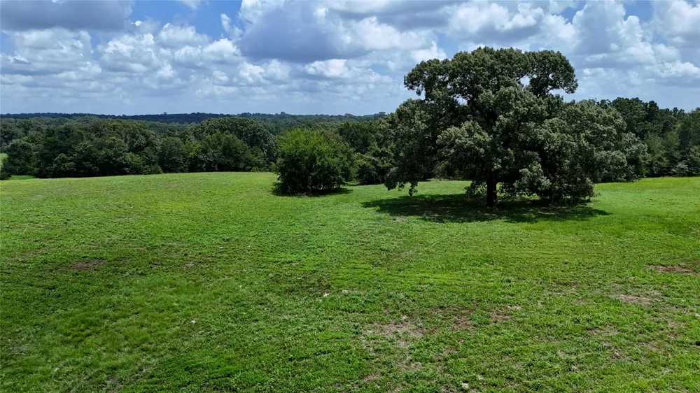 CR 4613 Athens, TX 75751
