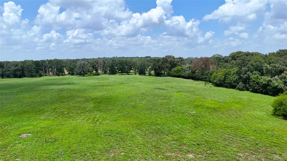 CR 4613 Athens, TX 75751