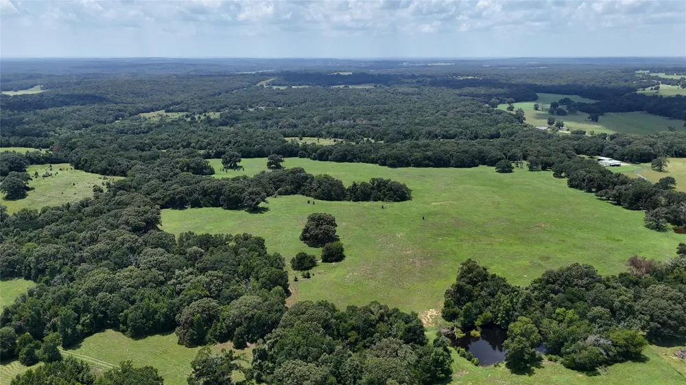 CR 4613 Athens, TX 75751