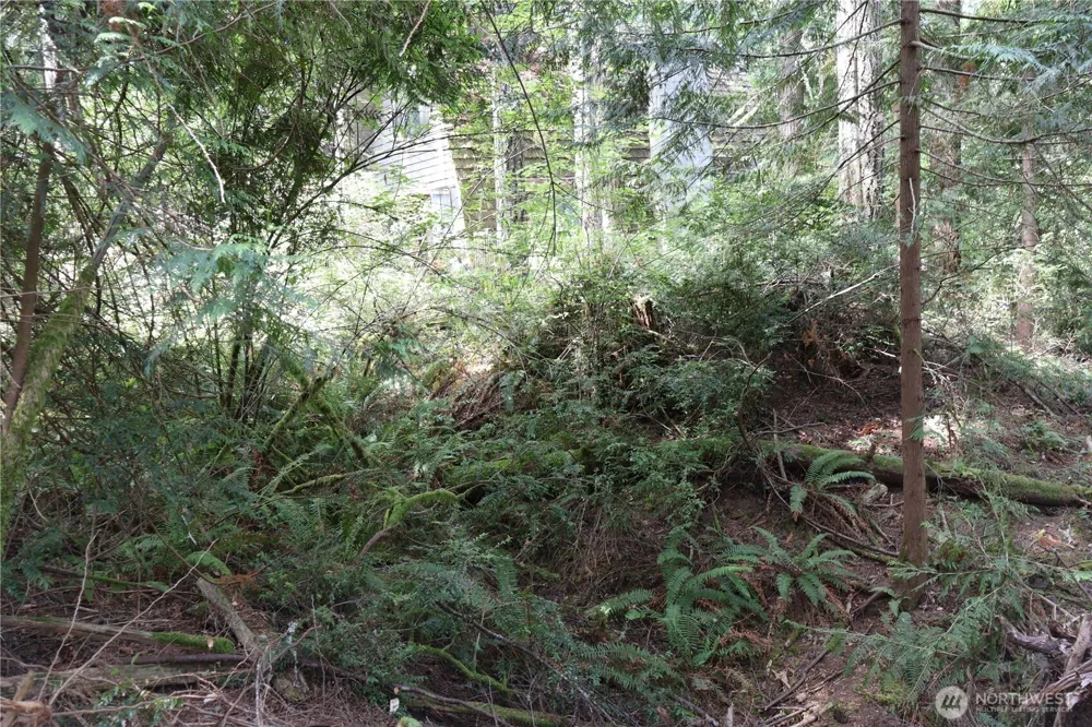 3659 Green Mountain Road NW Bremerton, WA 98312