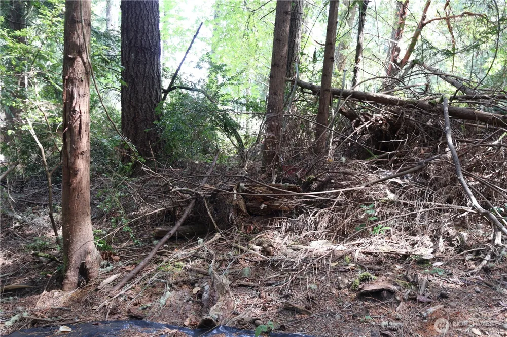 3659 Green Mountain Road NW Bremerton, WA 98312
