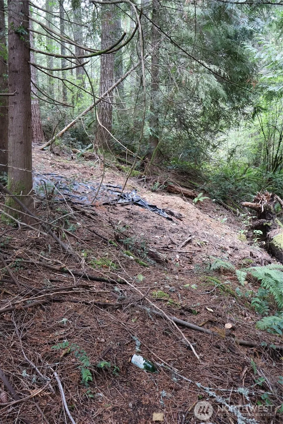 3659 Green Mountain Road NW Bremerton, WA 98312