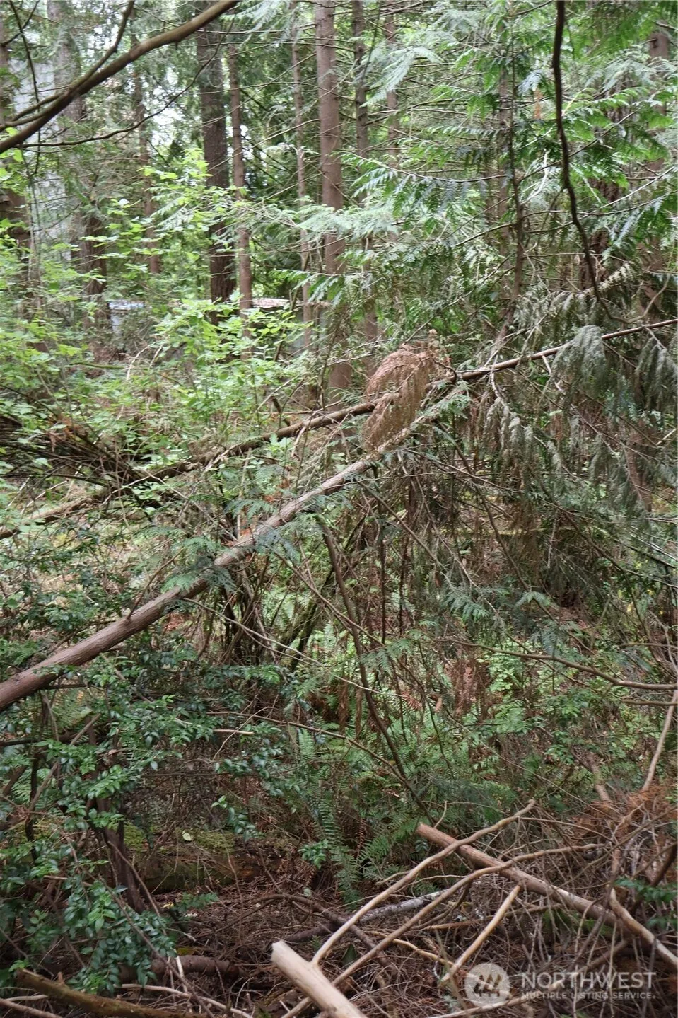 3659 Green Mountain Road NW Bremerton, WA 98312