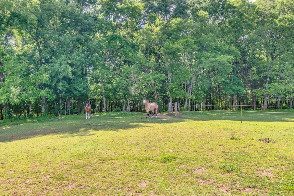 5292 Beckwith Rd Mount Juliet, TN 37122