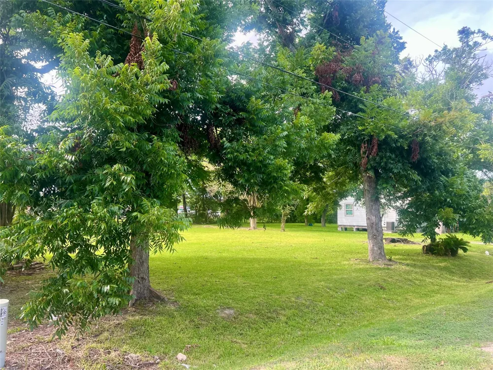 909 Cedar Drive La Marque, TX 77568