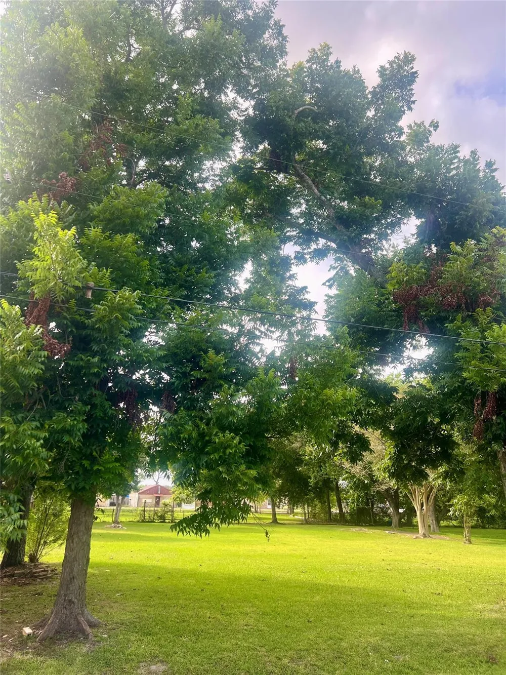 909 Cedar Drive La Marque, TX 77568