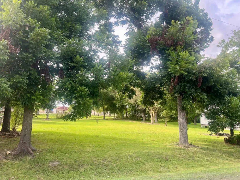 909 Cedar Drive La Marque, TX 77568
