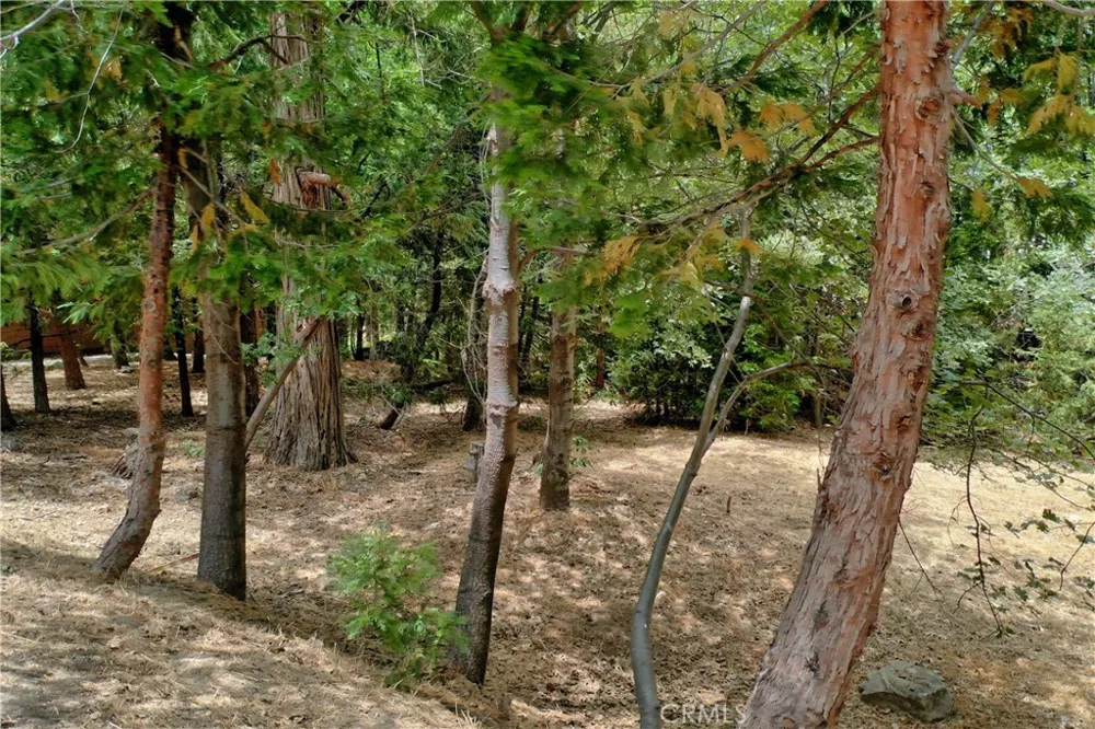 27513 Meadow Bay Drive Lake Arrowhead, CA 92352