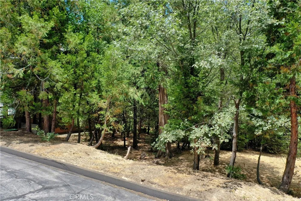 27513 Meadow Bay Drive Lake Arrowhead, CA 92352