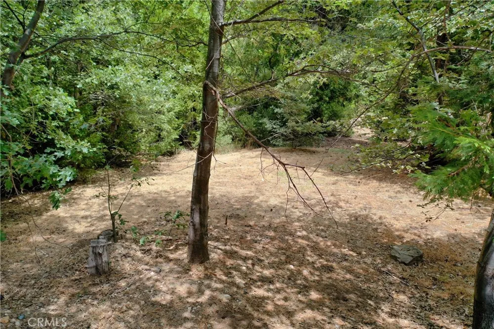 27513 Meadow Bay Drive Lake Arrowhead, CA 92352