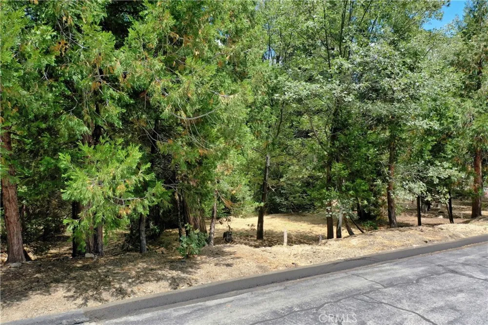 27513 Meadow Bay Drive Lake Arrowhead, CA 92352