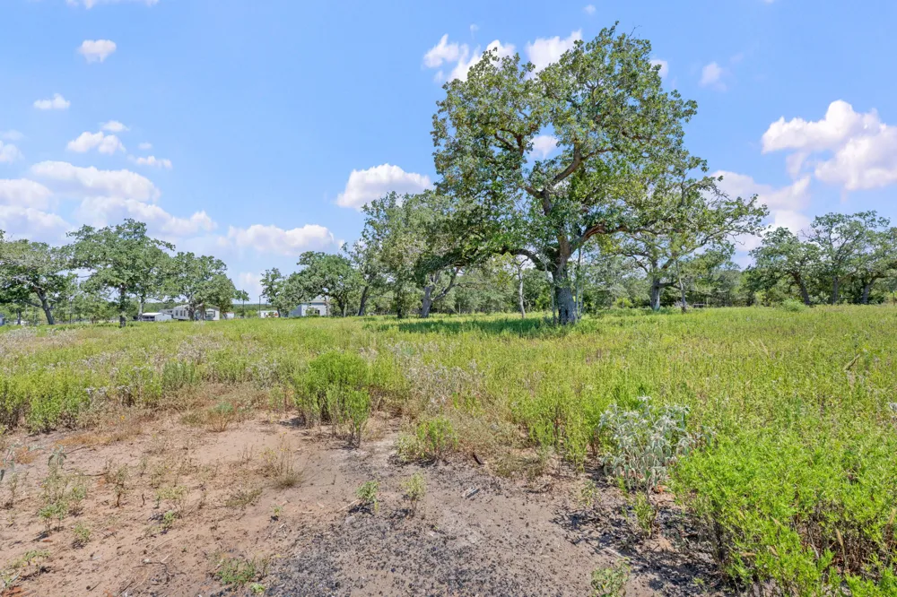 1385 Pettytown Road Dale, TX 78616