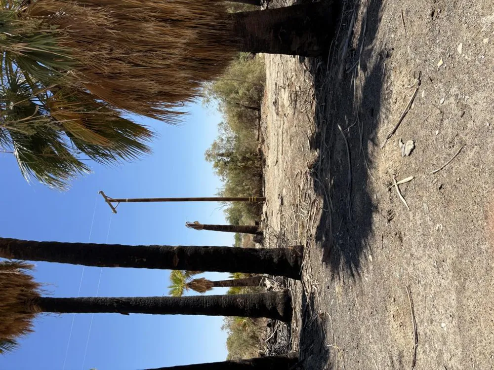 51 4th St Niland, CA 92257