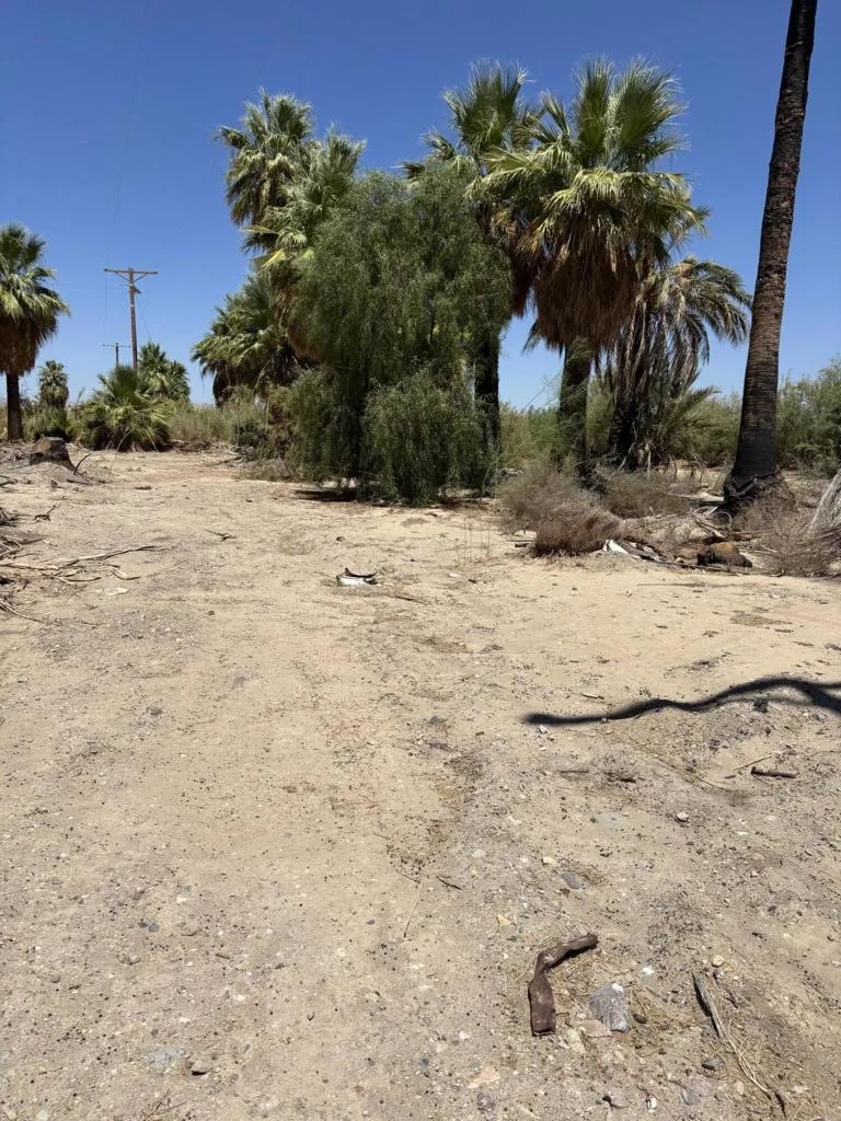 51 4th St Niland, CA 92257