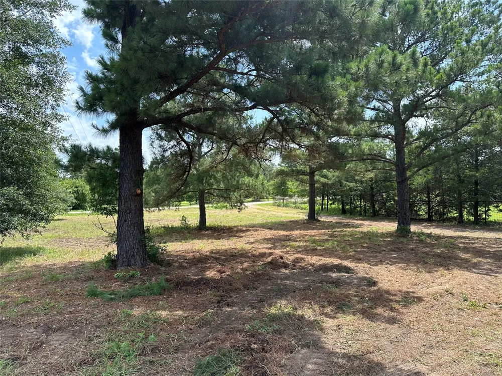 147 Pine Valley Drive Paige, TX 78659