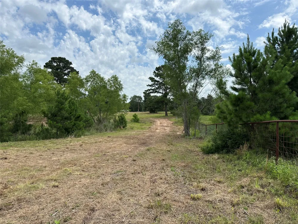 147 Pine Valley Drive Paige, TX 78659