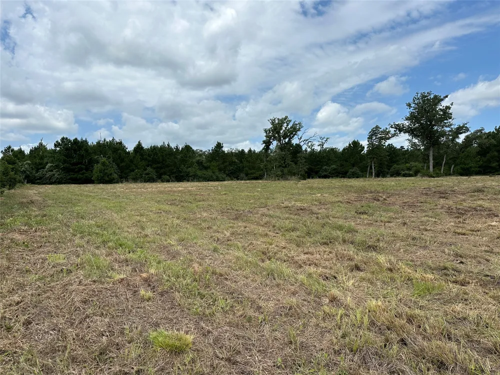 147 Pine Valley Drive Paige, TX 78659