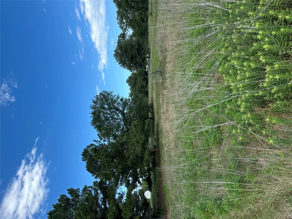 147 Pine Valley Drive Paige, TX 78659
