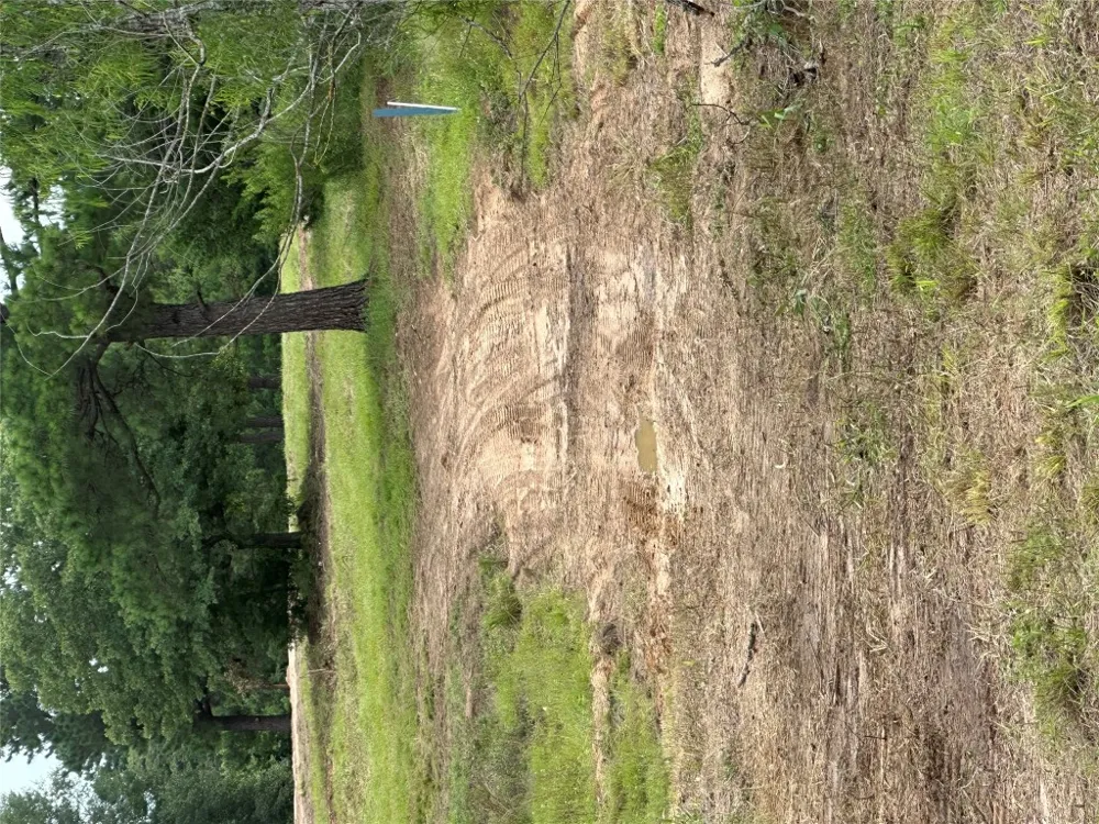 147 Pine Valley Drive Paige, TX 78659