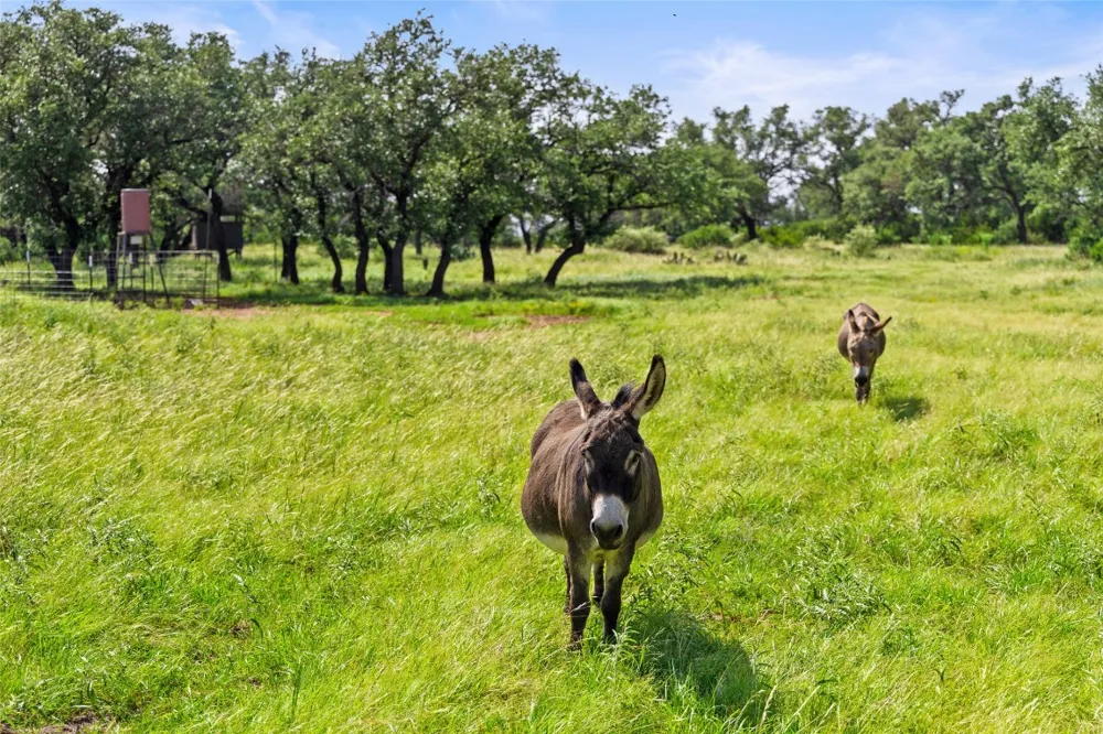 4529 Ranch Road 3347 Round Mountain, TX 78663