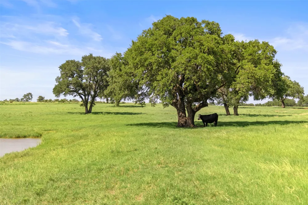 4529 Ranch Road 3347 Round Mountain, TX 78663