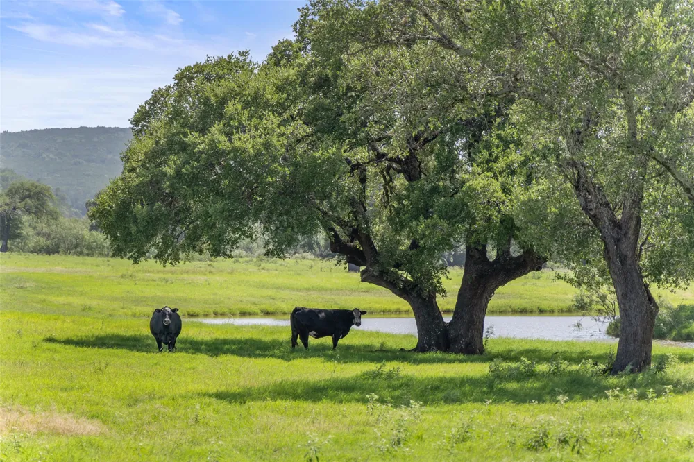 4529 Ranch Road 3347 Round Mountain, TX 78663