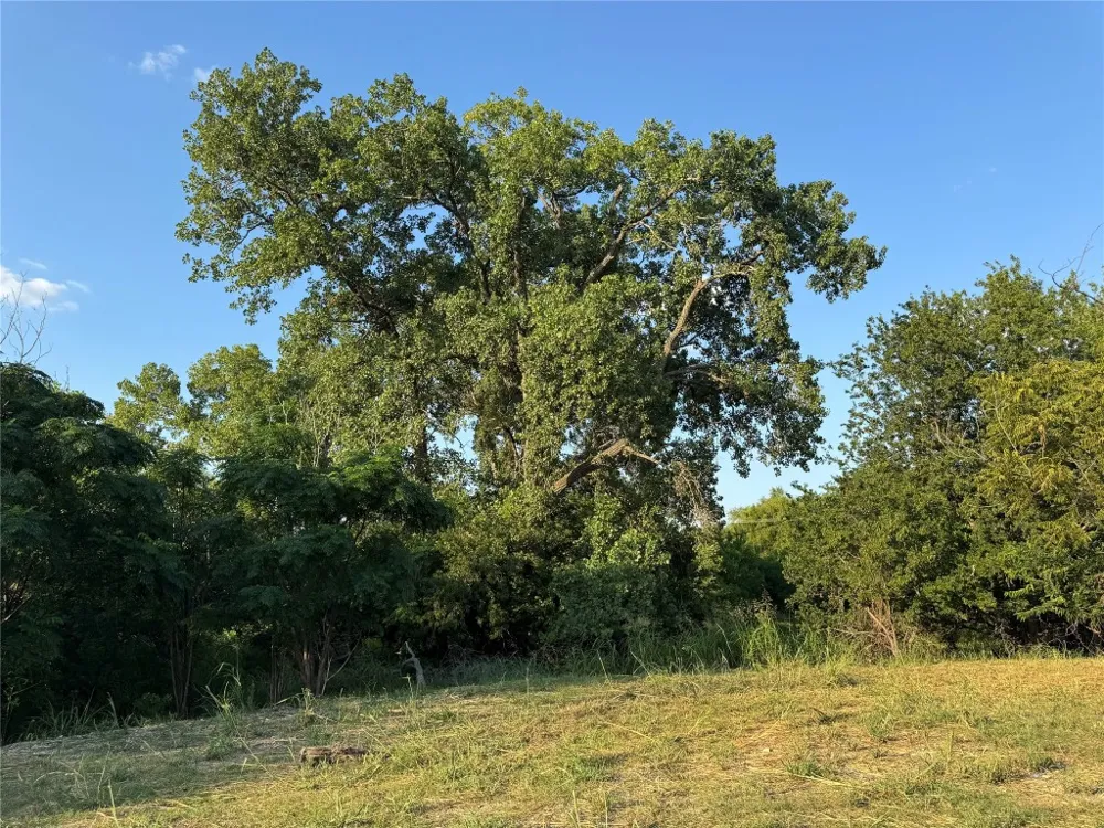 4401 Trimmier Road Killeen, TX 76542
