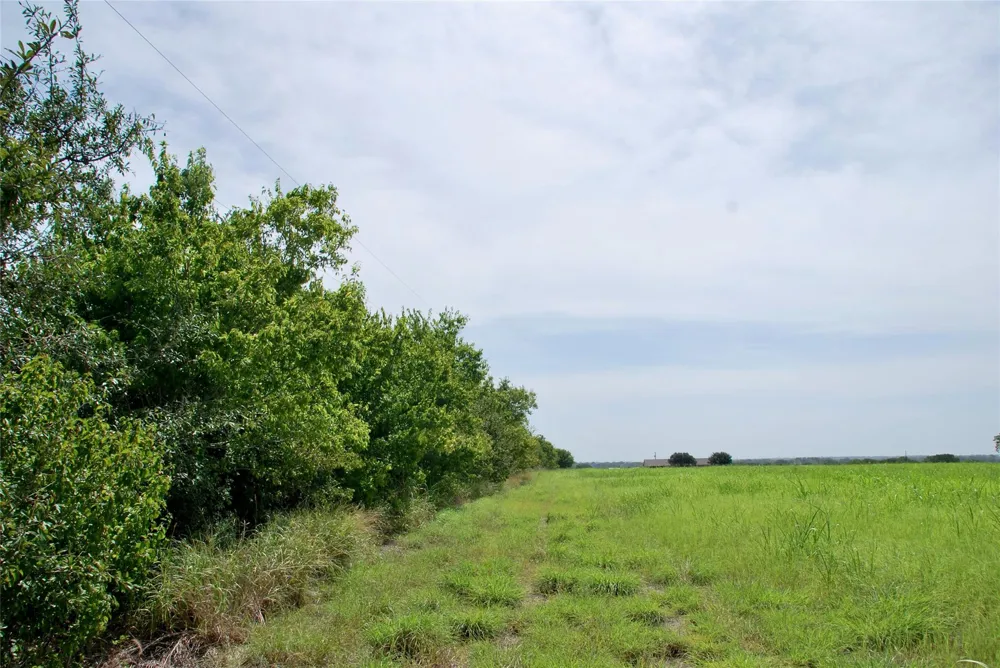 1 Fm 615 Schulenburg, TX 78956