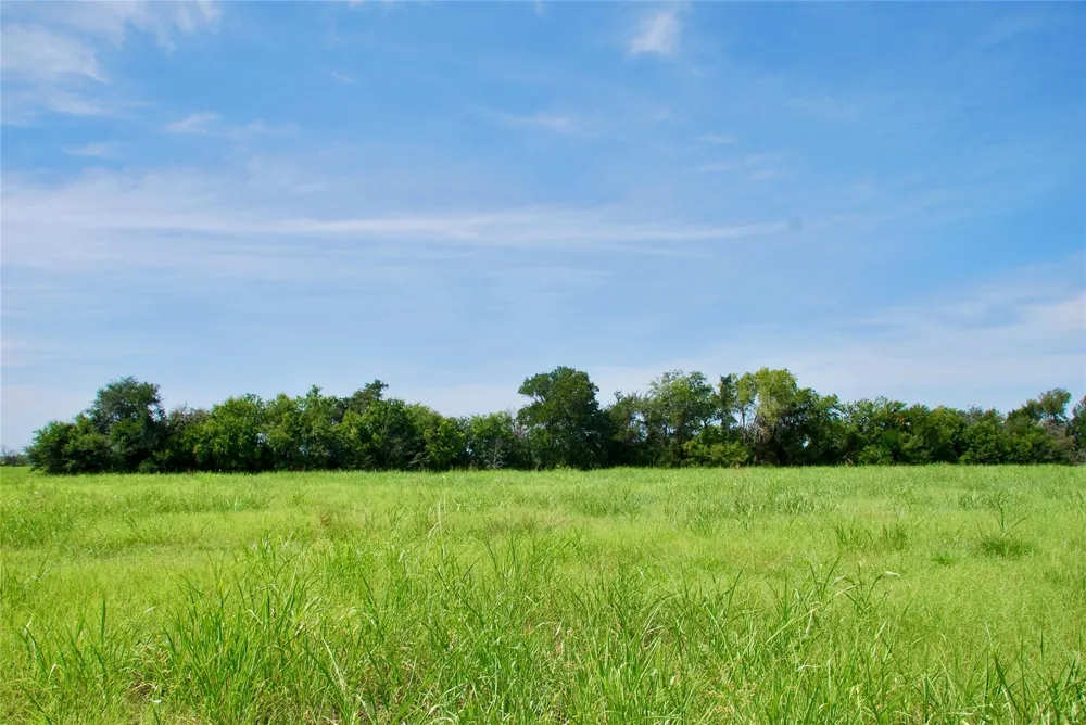 1 Fm 615 Schulenburg, TX 78956