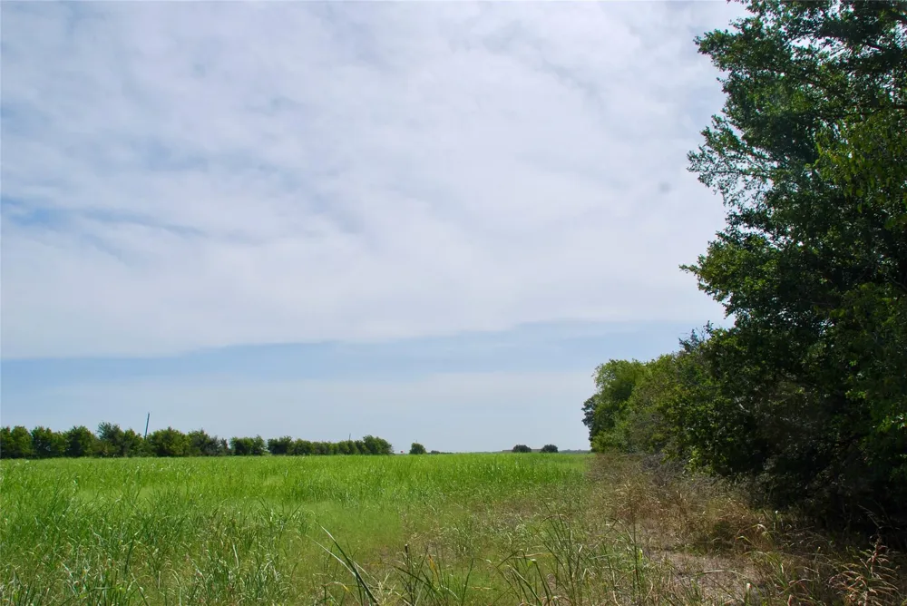 1 Fm 615 Schulenburg, TX 78956