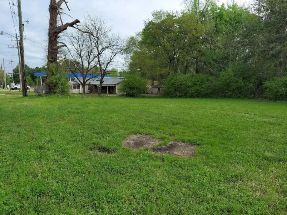 Buchanan Road Texarkana, TX 75501