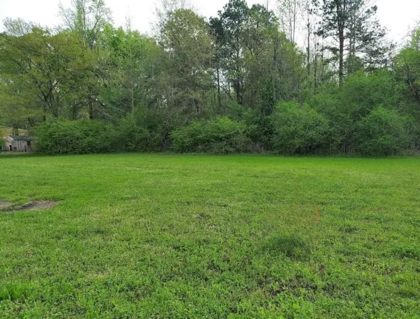 Buchanan Road Texarkana, TX 75501