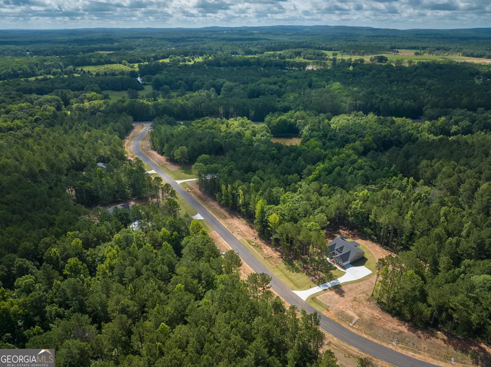 243 Flint Farms DR Concord, GA 30206