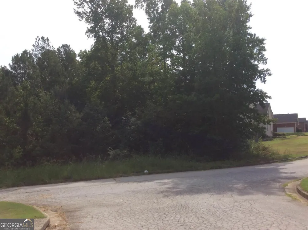 352 Greystone LN Douglasville, GA 30134