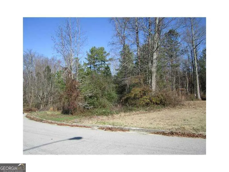 352 Greystone LN Douglasville, GA 30134